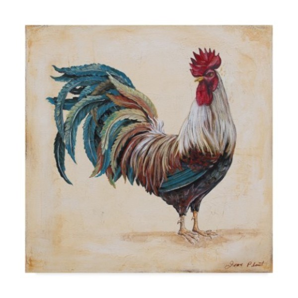 Trademark Fine Art Jean Plout 'Rooster 4' Canvas Art, 35x35 ALI37420-C3535GG